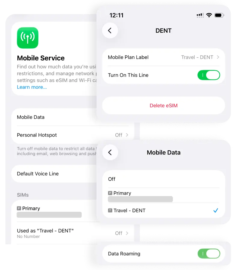 Activate the eSIM and Roaming