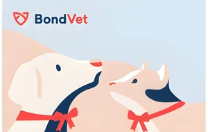 countryIsoCode BondVet