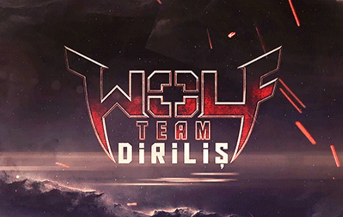 Wolfteam giftcard