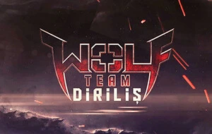 countryIsoCode Wolfteam